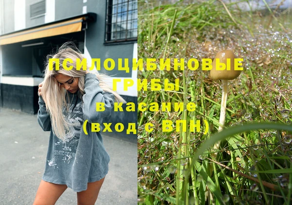 ешки Алзамай