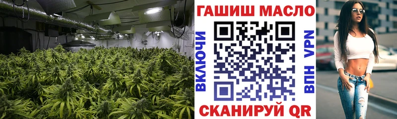даркнет сайт Мегион ТГК жижа