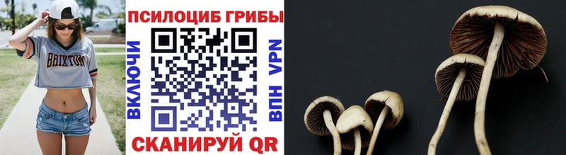 Галлюциногенные грибы Magic Shrooms  Мегион 