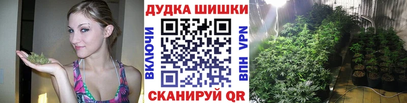 где продают   Мегион  Шишки марихуана Amnesia 